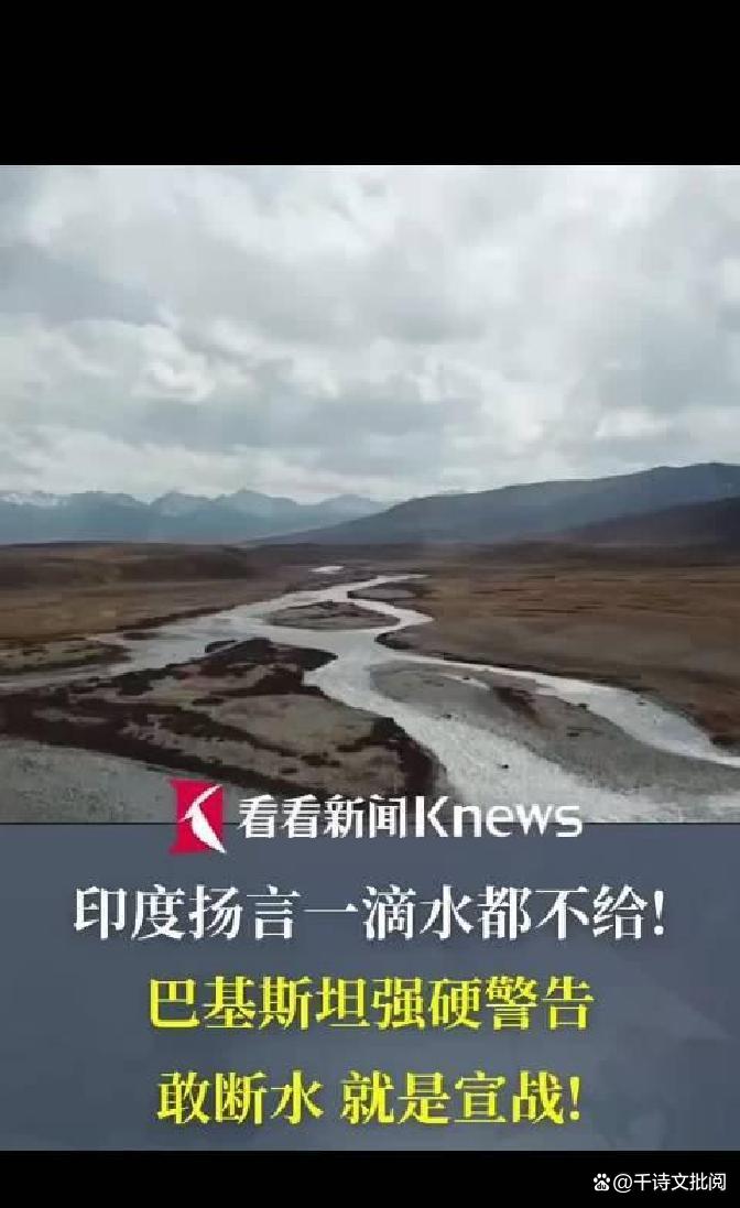 争议｜战术板｜暑期体育档多线升温：年轻人能否抢走头条？